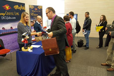 Cruise Jobs Fair