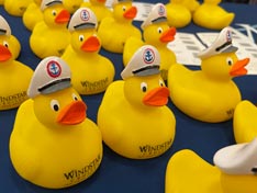 Cruise Jobs Fair - Warsaw 2025